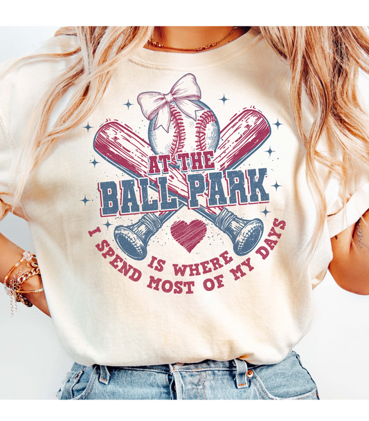 At the Ballpark T-Shirt