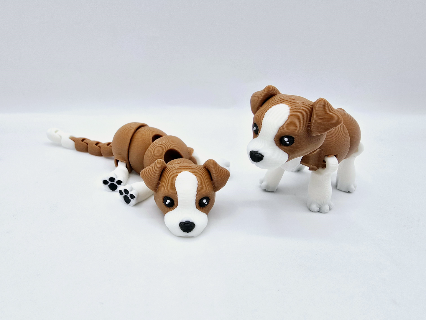 Flexi puppy