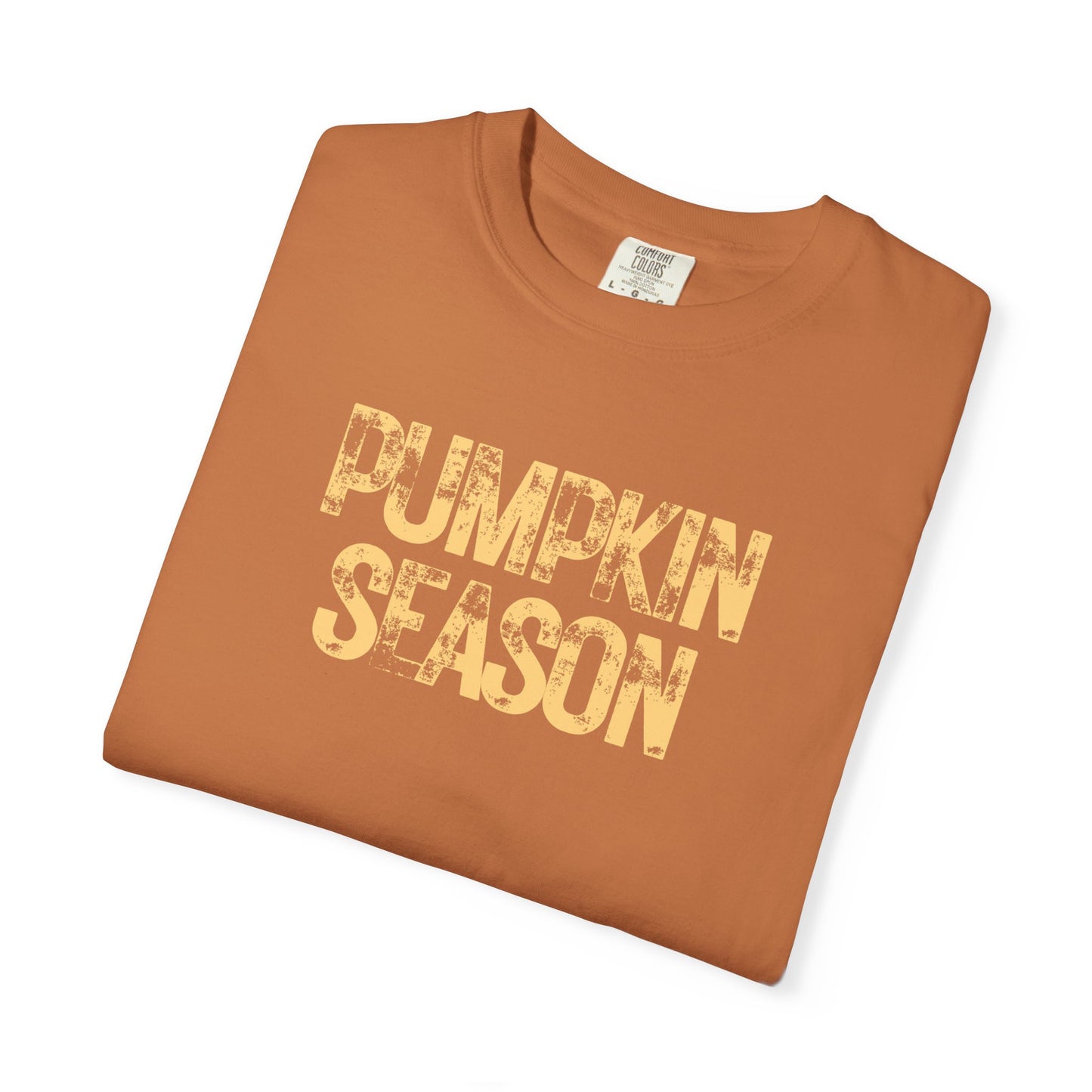 Pumpkin Season Comfort Colors T-shirt