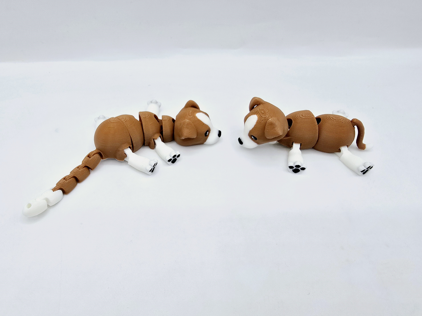 Flexi puppy